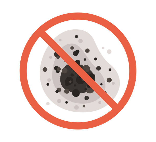Best Airborne Mold Testing  in Oceanport, NJ