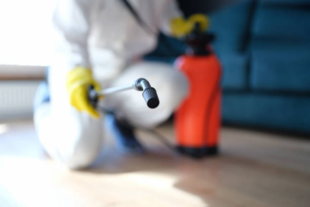 Best Commercial Mold Inspection  in Oceanport, NJ